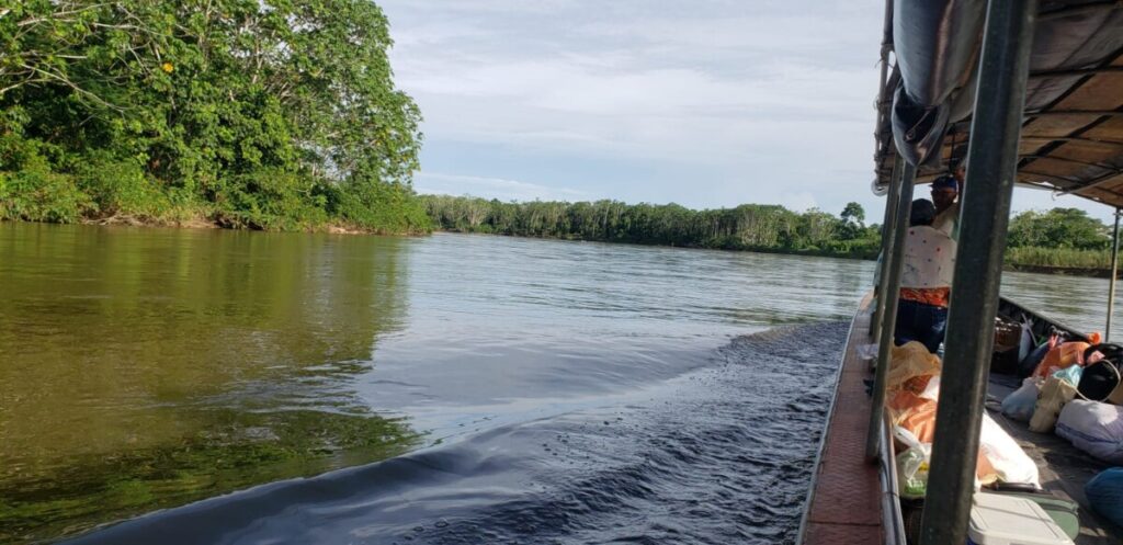 “La Importancia de los Proyectos de Carbono en la Conservación Ambiental”